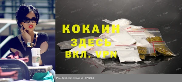 ГАЛЛЮЦИНОГЕННЫЕ ГРИБЫ Медвежьегорск