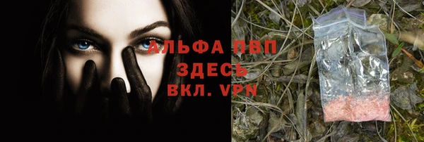 ГАЛЛЮЦИНОГЕННЫЕ ГРИБЫ Медвежьегорск