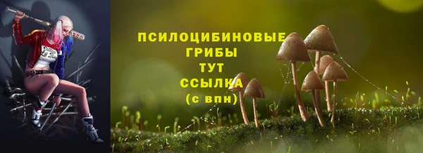 ГАЛЛЮЦИНОГЕННЫЕ ГРИБЫ Медвежьегорск