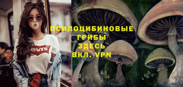 jwh Медногорск