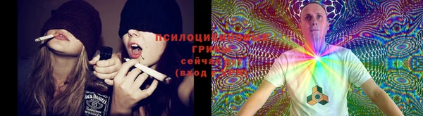 бошки Михайловск