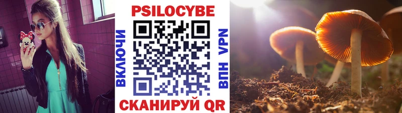 Галлюциногенные грибы ЛСД Вихоревка